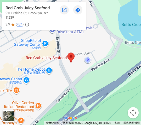 Location, 911 Erskine St, Brooklyn, NY 11239 Location, 911 Erskine St, Brooklyn, NY 11239